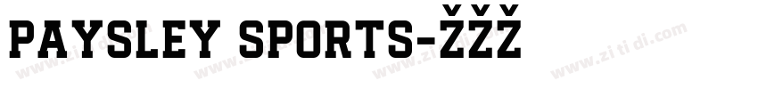 paysley sports字体转换